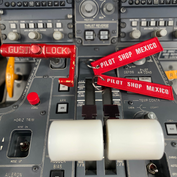 RBF-pilot-shop-mexico-PSM4